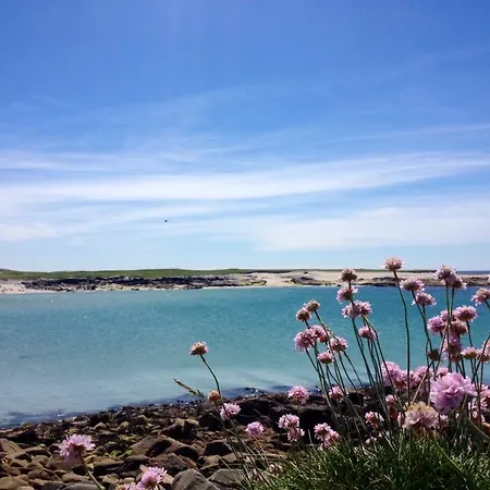 Ξενοδοχείο Dolphin Beach House Clifden