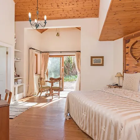 酒店 Dolphin Beach House 克利夫登