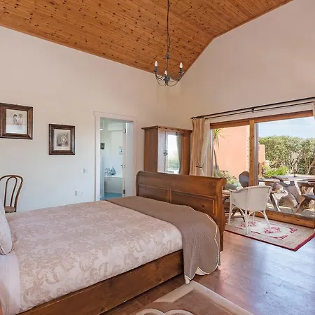 Dolphin Beach House