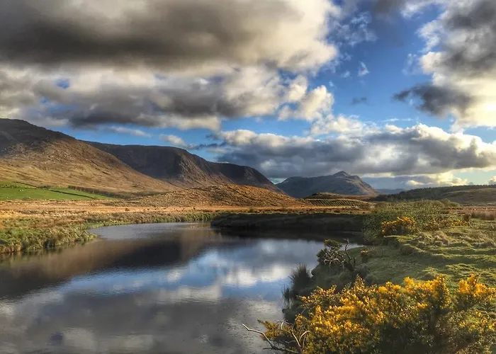 Dolphin Beach House Hotel 4*