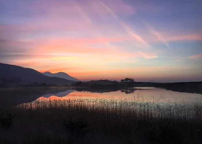 Dolphin Beach House Hotel 4*