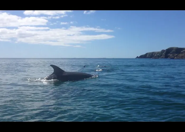 Dolphin Beach House ホテル