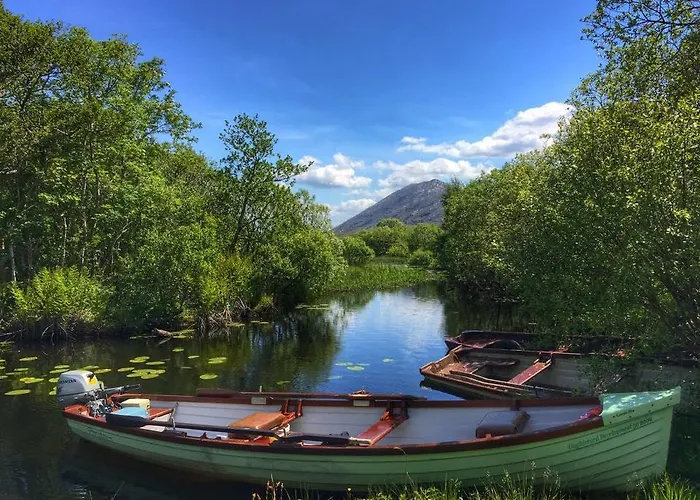Dolphin Beach House Hotel Clifden