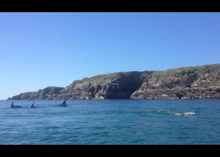 Dolphin Beach House 4*