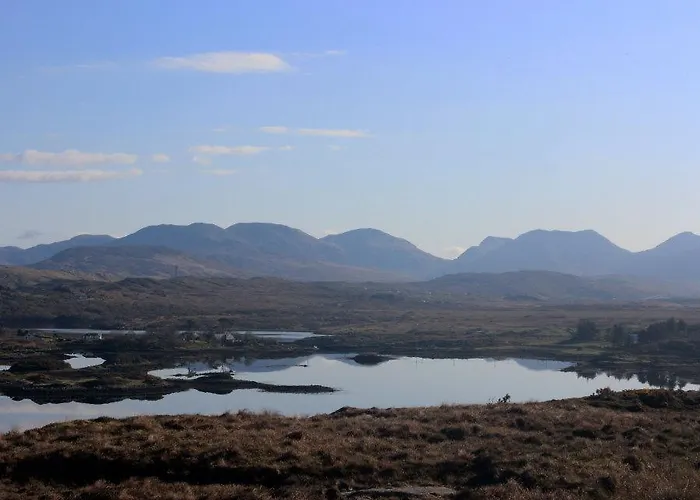 Hotel Dolphin Beach House