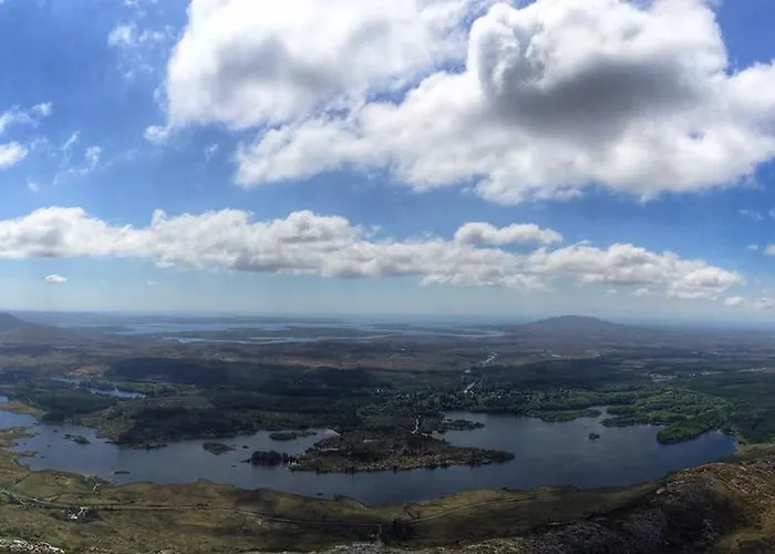 Dolphin Beach House Hotel